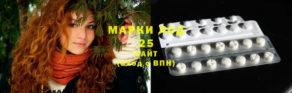 ECSTASY Алзамай
