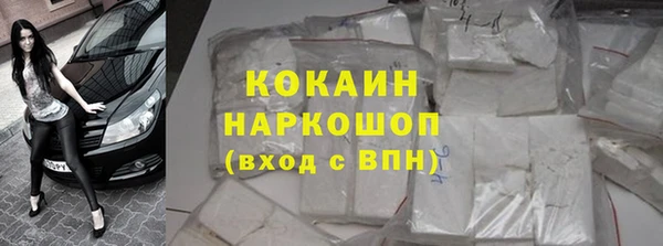 ПСИЛОЦИБИНОВЫЕ ГРИБЫ Алексин