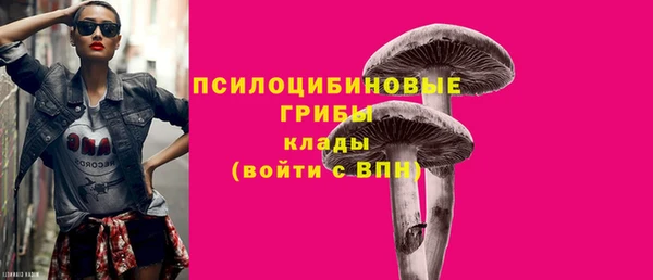 ПСИЛОЦИБИНОВЫЕ ГРИБЫ Алексин