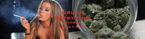 ПСИЛОЦИБИНОВЫЕ ГРИБЫ Алексин
