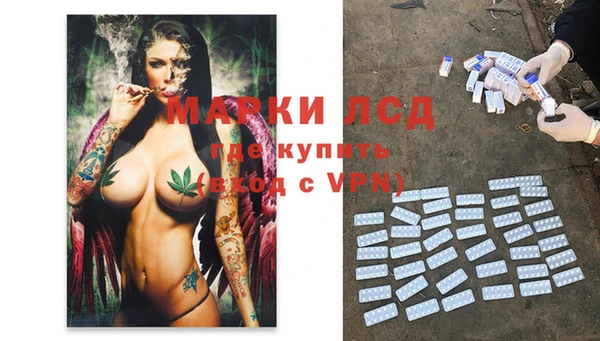ECSTASY Алзамай