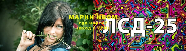 ПСИЛОЦИБИНОВЫЕ ГРИБЫ Алексин