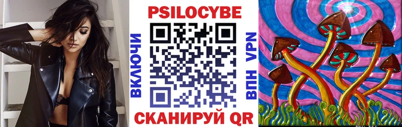 мега сайт  Лермонтов  Галлюциногенные грибы мицелий 